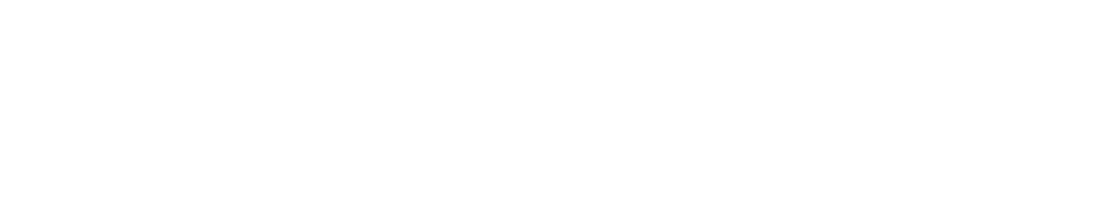 Mine Seismix